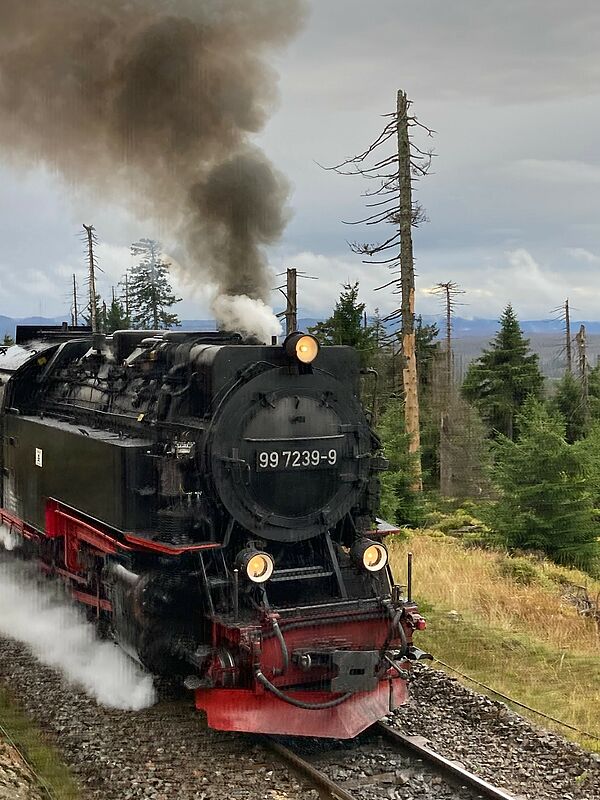 Besuch beim VVDE-Mitglied Harzer Schmalspurbahnen ...